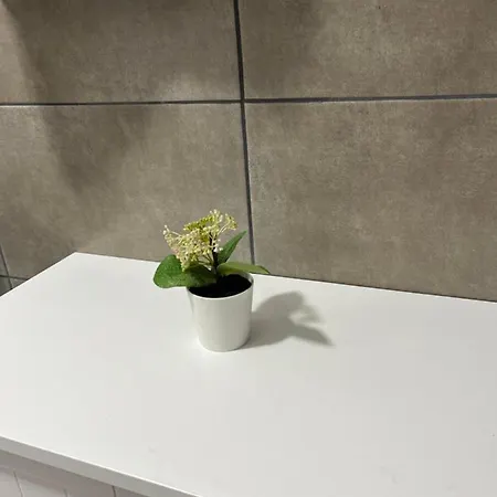 Studiouri Appartement