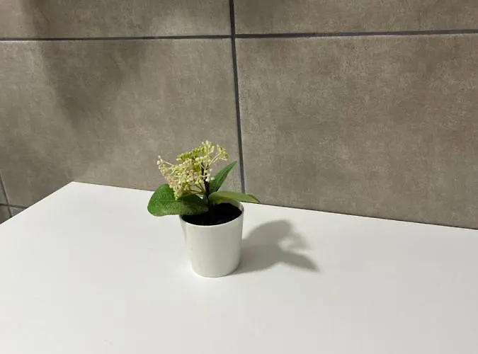 Studiouri Appartement